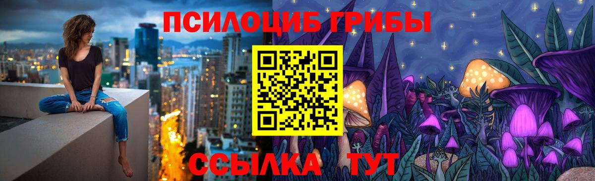 Псилоцибиновые грибы Psilocybine cubensis Острогожск
